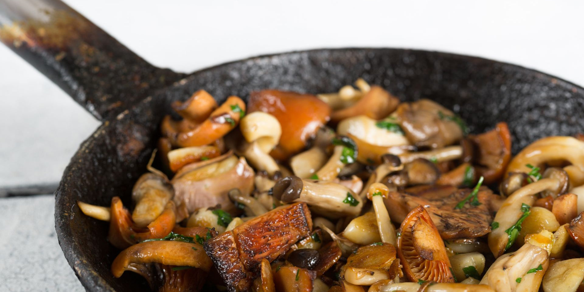 Fresh and Wild Mushroom Stew