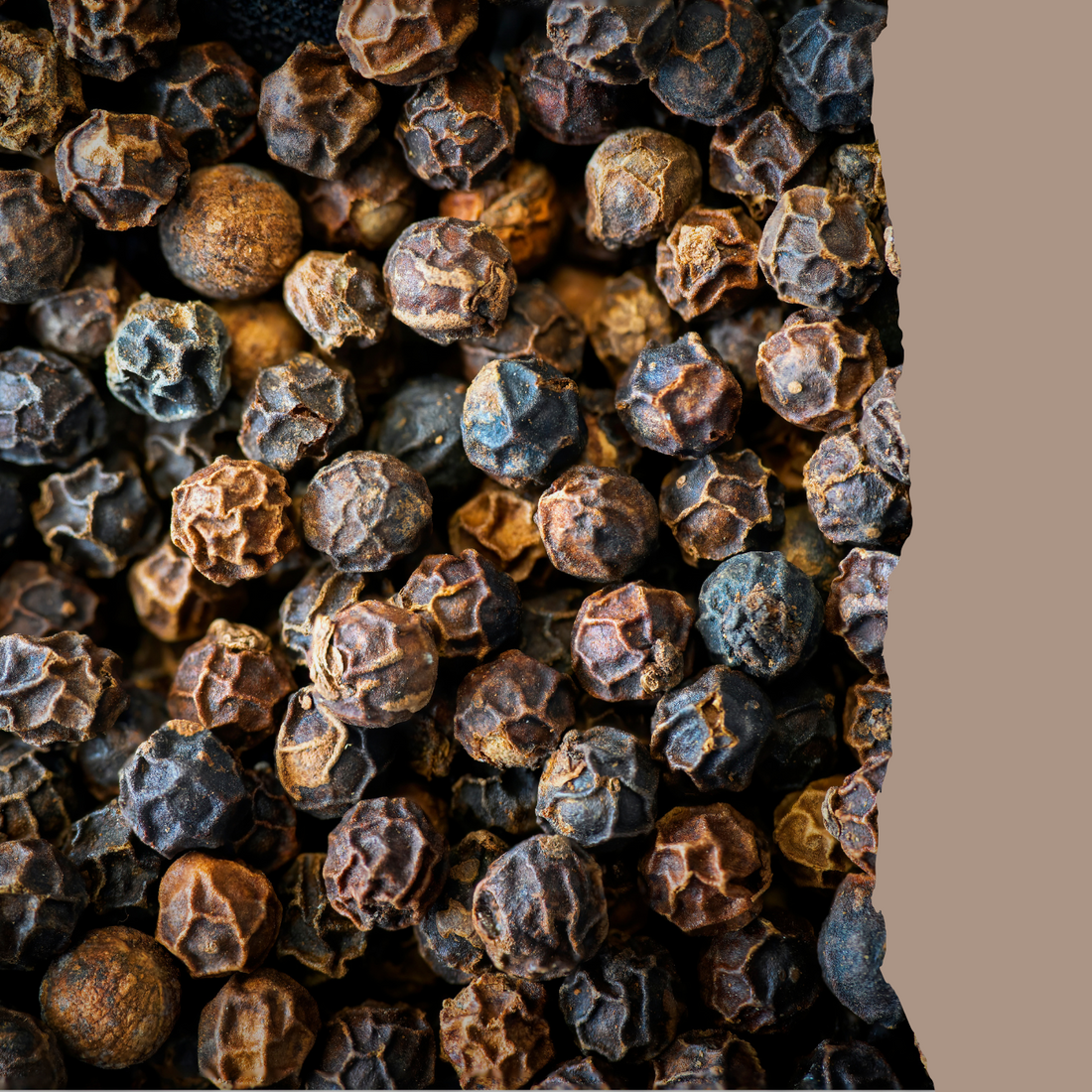 The Secret Life of Pepper: A Journey Through History, Flavor, and Craft